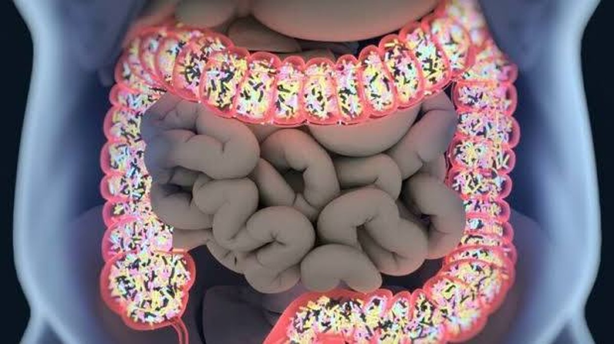 Genetické vlivy spolubydlících na vaše zdraví