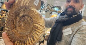 Haguenau: Hledání fosilií, stále náročnější honba za poklady