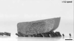 Inovace inspirovaná mravenci: Jak korejský robot mění inženýrství