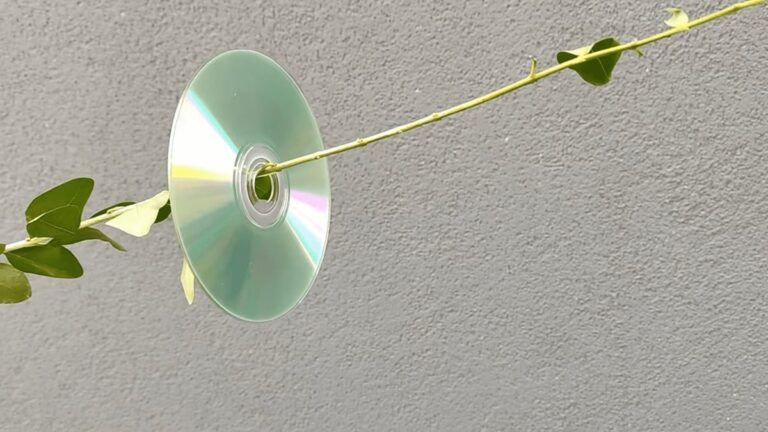 Jak ochránit zahradu před ptáky pomocí CD disků