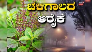 Jak se starat o bazalku během zimy