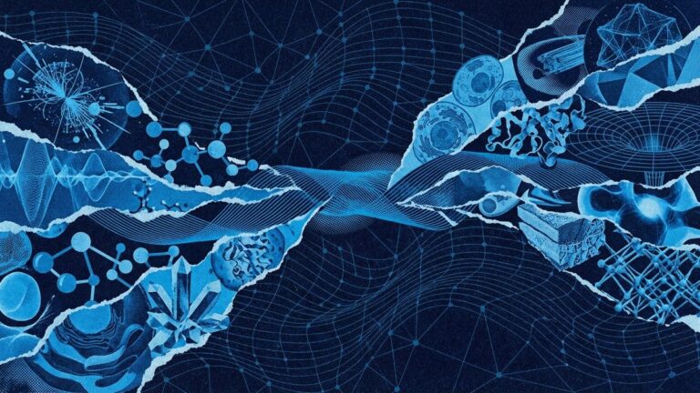 Konvergence AI systémů k univerzálním reprezentacím