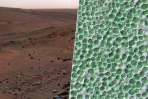 Nová cesta k terraformaci planety Mars