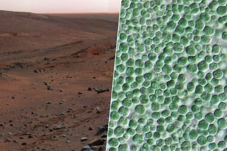 Nová cesta k terraformaci planety Mars