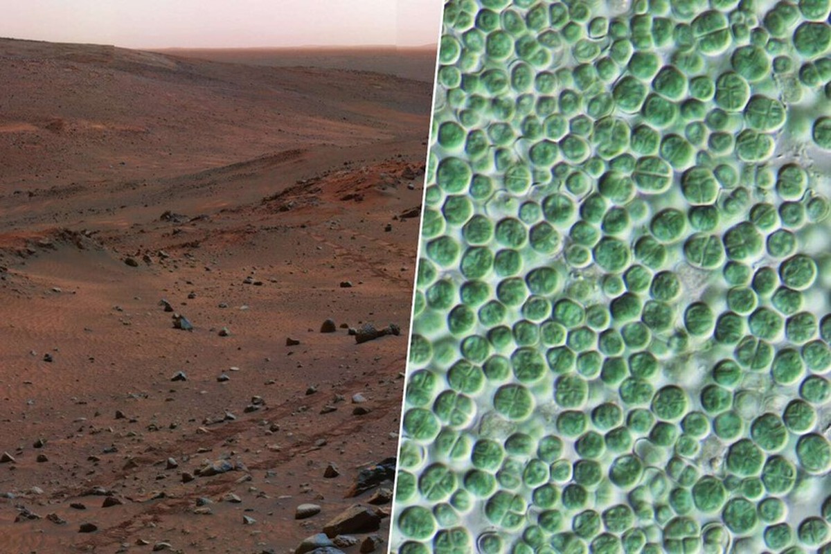 Nová cesta k terraformaci planety Mars