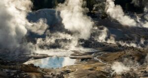 Objev nového druhu organismu s rekordní odolností vůči vysokým teplotám