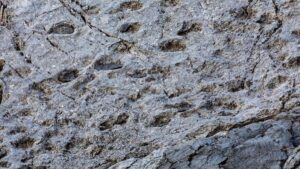 Objev tisíc dinosaurích stop v Národním parku Stelvio