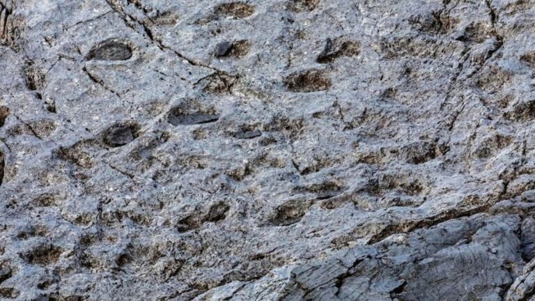 Objev tisíc dinosaurích stop v Národním parku Stelvio