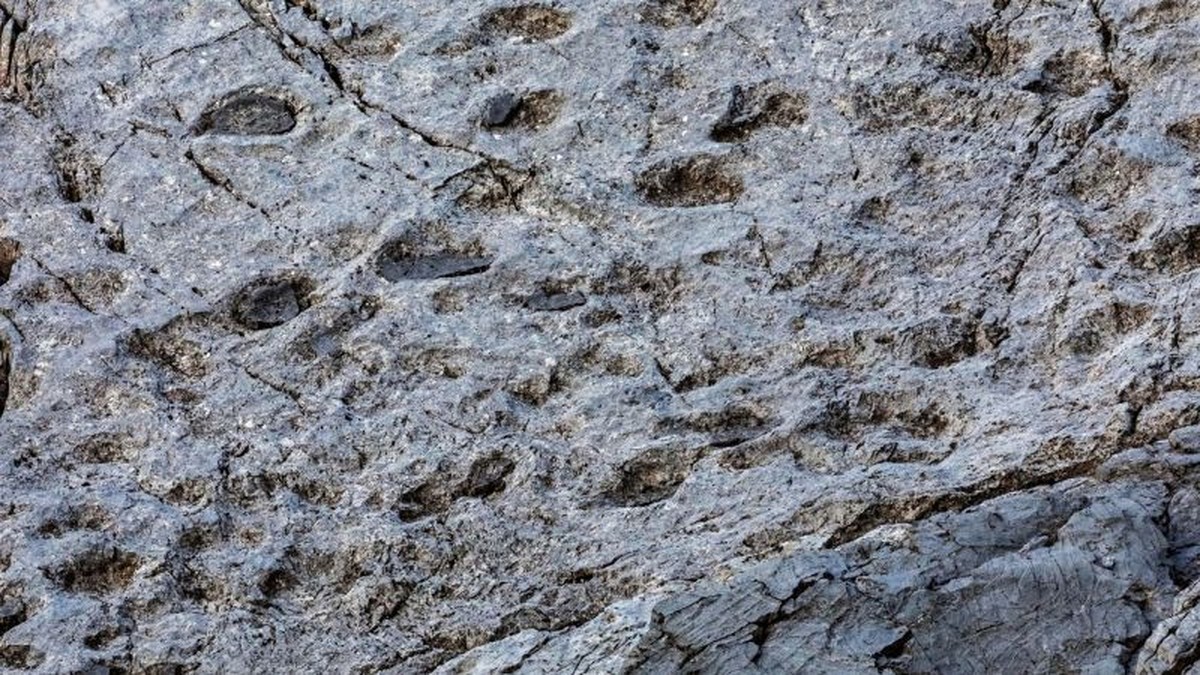 Objev tisíc dinosaurích stop v Národním parku Stelvio