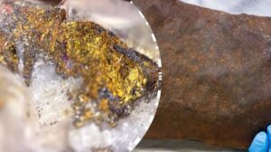 Proč si pes naklání hlavu, když s ním mluvíte – co se mu skutečně v hlavě děje?