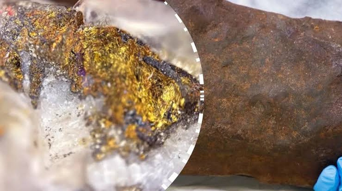 Proč si pes naklání hlavu, když s ním mluvíte – co se mu skutečně v hlavě děje?