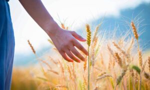 Skrytý smysl dotyku: Výzkum odhaluje nové možnosti lidské percepce