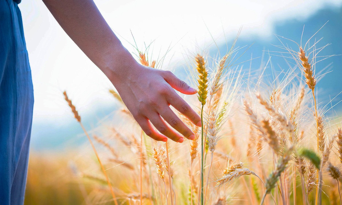 Skrytý smysl dotyku: Výzkum odhaluje nové možnosti lidské percepce