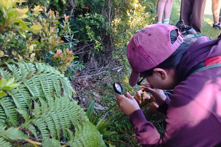 Společenství Valdivie se mobilizuje k monitorování orchideí