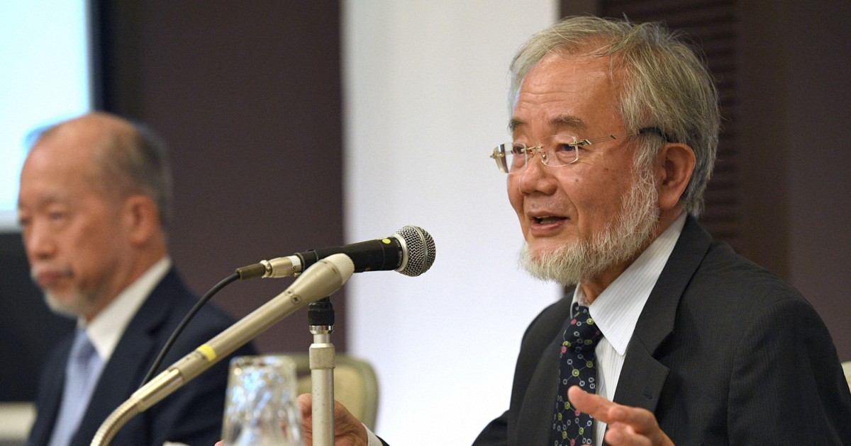 Strach a výzvy: Zpráva o japonském výzkumu a varování profesora Osumiho