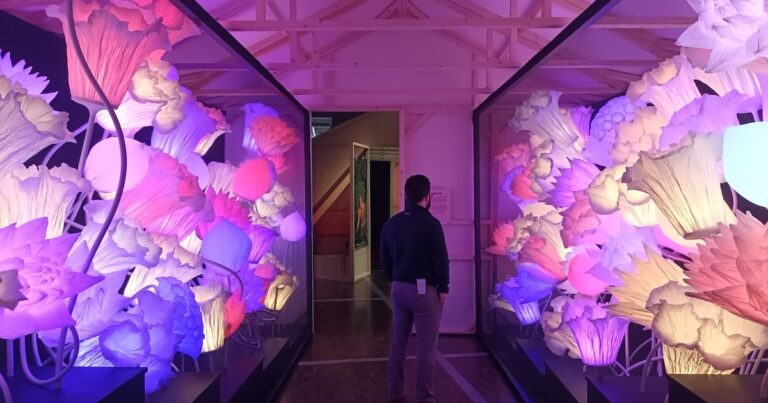 Strategie konvalinky a Bruselští zelí: Skrytá věda zahradničení