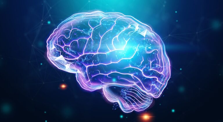 Tok krve nenaznačuje nutně mozkovou aktivitu