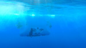 Výjimečné obrazy života v hloubce 9 800 metrů v oceánu