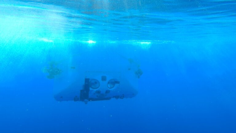 Výjimečné obrazy života v hloubce 9 800 metrů v oceánu