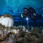 Výzkumná expedice na Antarktidě: Zkušenosti Anny Vesanen