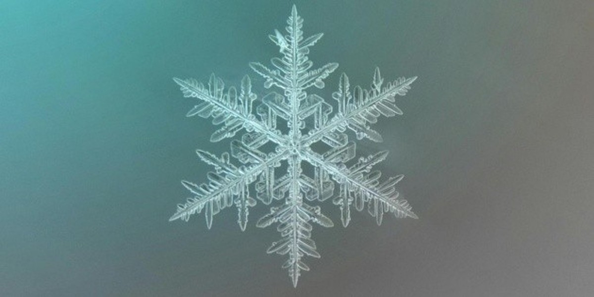 Zimní slunovrat: Kdy oficiálně začíná zima v Mexiku?