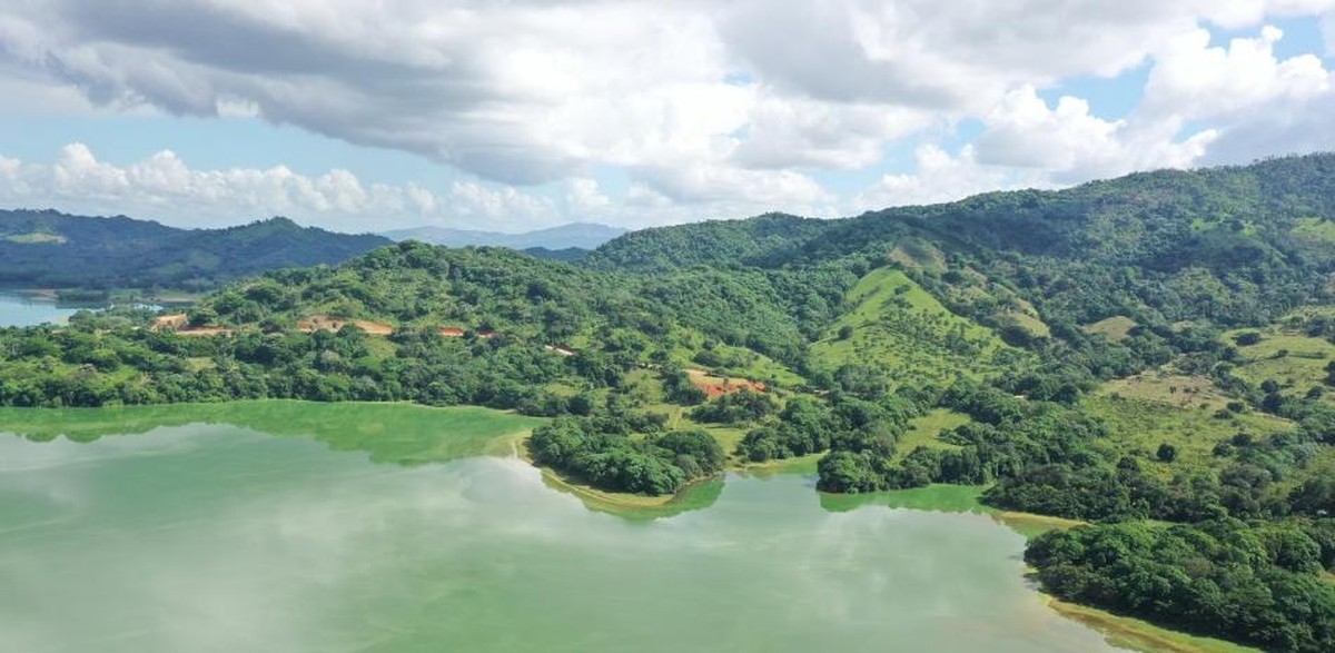 Životní prostředí: Zelené zbarvení vody v přehradě Hatillo způsobeno květinou řas