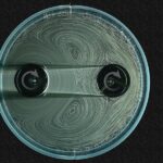 Bezkontaktní převody: Fyzikové vyvíjejí převodovky bez zubů