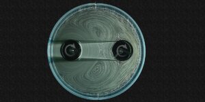 Bezkontaktní převody: Fyzikové vyvíjejí převodovky bez zubů