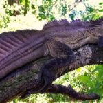 Doporučené články