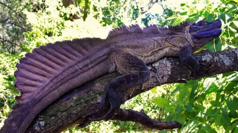 Doporučené články