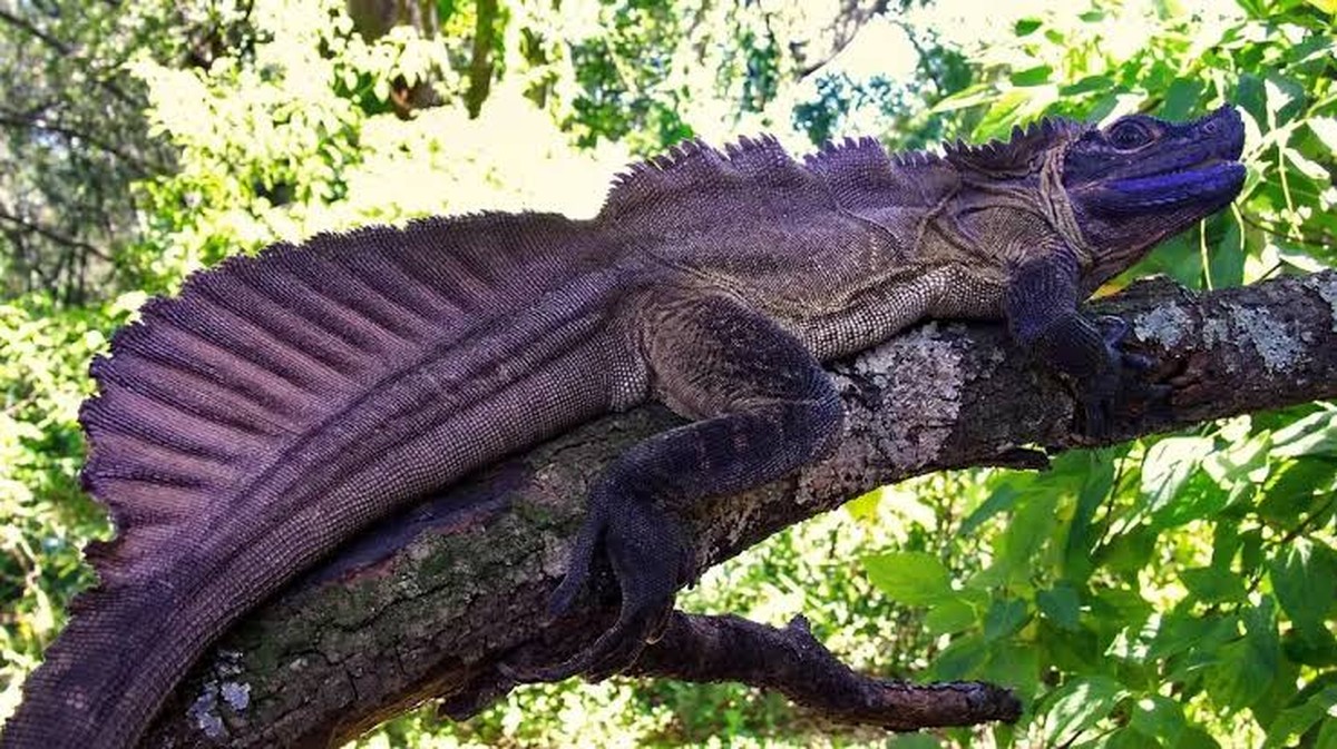 Doporučené články