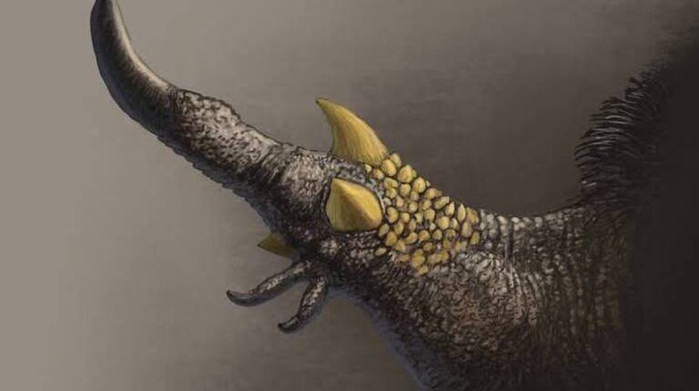 Druh dinosaura měl specializovaný dráp na zachycování vajec