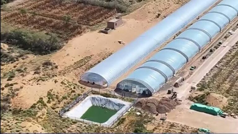 Ekologická kůže pro Zemi: Čína obnovuje 6 500 hektarů pouště pomocí řas