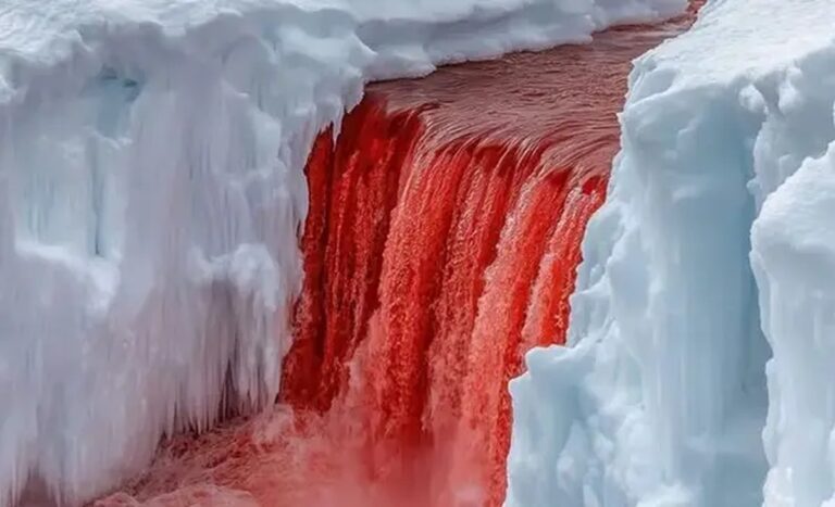 Fenomén krvavých vodopádů v Antarktidě