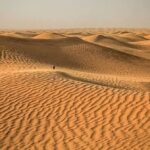 Jak se podařilo zpomalit "destrukci" Sahary