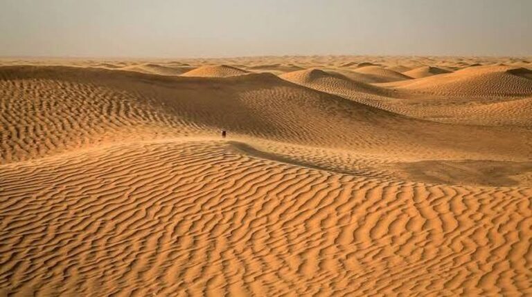 Jak se podařilo zpomalit "destrukci" Sahary