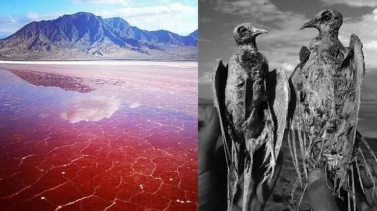 Jezero Natron: Smrtící krása v Tanzanii