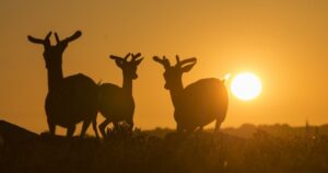 Nejkrásnější západ slunce v roce 2026 během úplného zatmění