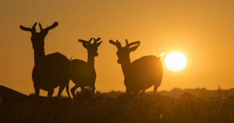 Nejkrásnější západ slunce v roce 2026 během úplného zatmění