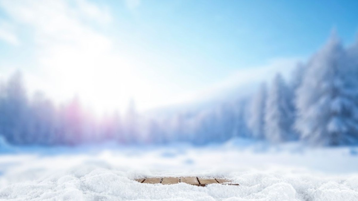 Neobvyklý objev: Mucha na sněhu