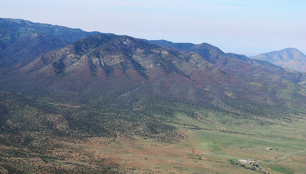 NM Lesnická divize: Úmrtnost stromů způsobená kůrovcem se více než zdvojnásobila druhý po sobě jdoucí rok