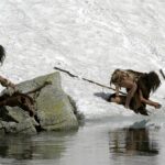 Nový pohled na život neandertálců: Objev, který mění historii