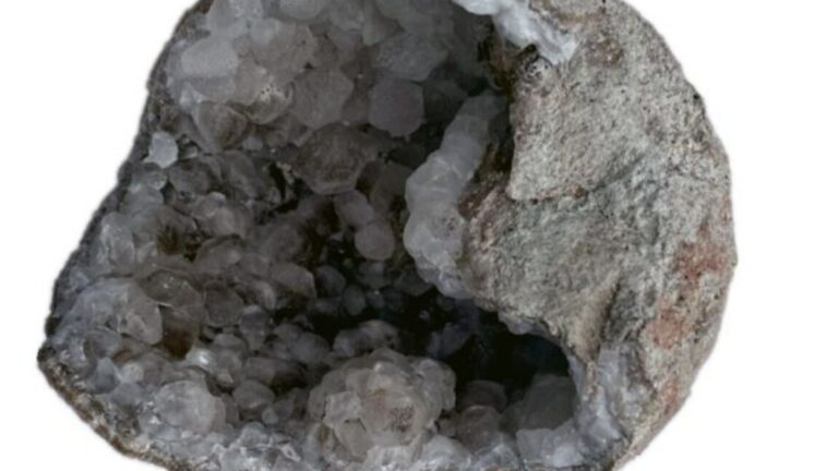 Objev dinosaurího vajíčka plného krystalů