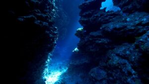 Objev obřích vajec podmořského vulkánu v Kanadě