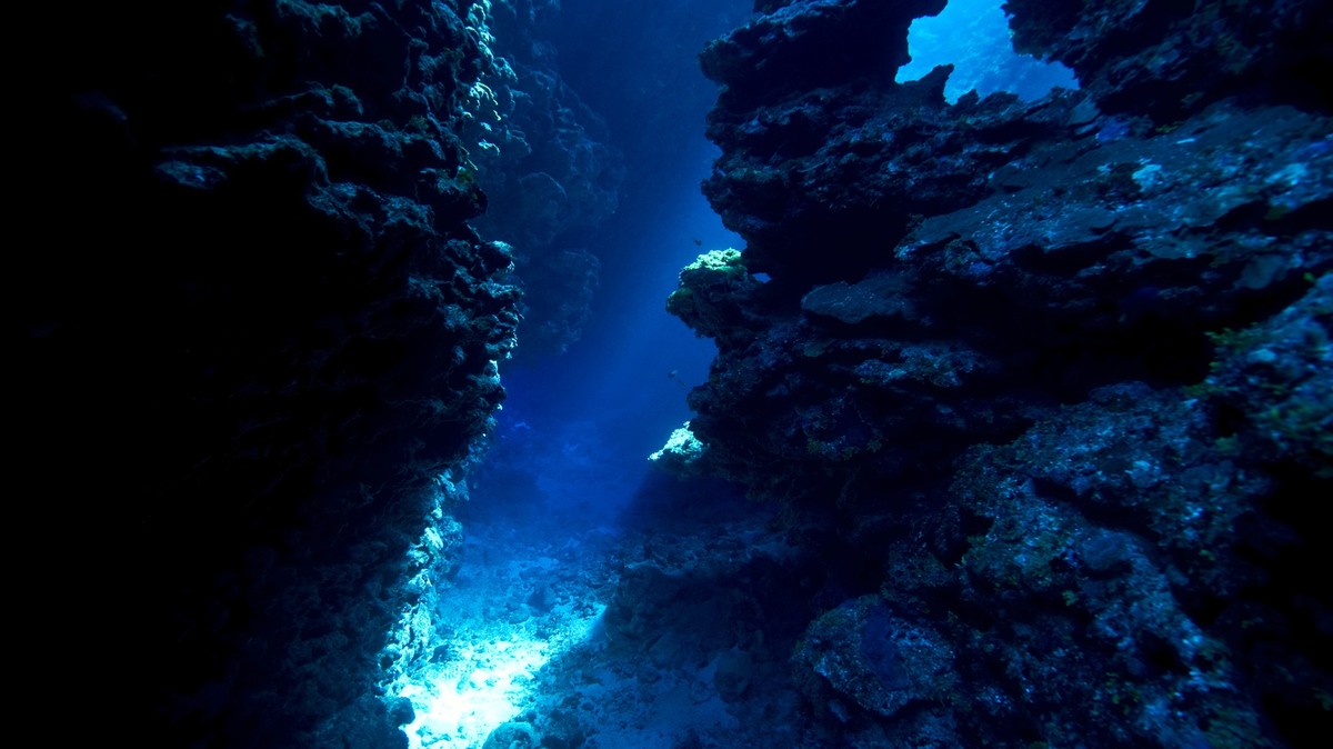 Objev obřích vajec podmořského vulkánu v Kanadě