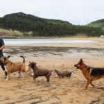 Ornitologové požadují zákaz psů na plážích a v okolí ústí řeky Urdaibai