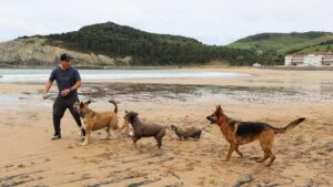 Ornitologové požadují zákaz psů na plážích a v okolí ústí řeky Urdaibai