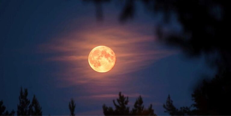 Přehled lunárního kalendáře na rok 2026