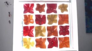 Příroda jako inženýr: Vývoj mini robotů pro dynamické fasády