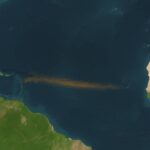 Růst sargassových řas v Atlantiku: Výzvy a řešení